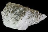 Calcite, Quartz and Pyrite Association - Fluorescent #92289-1